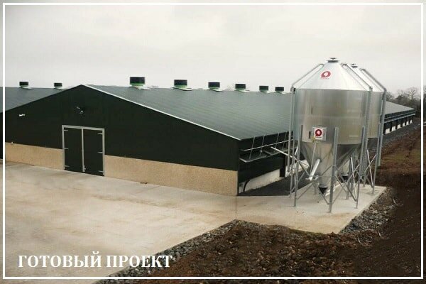Этапы возведения птицефабрики от завода ВелесТент-клм